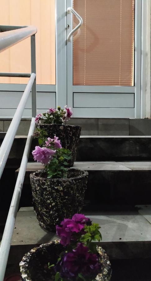 Apartman Todorovic Jagodina Kültér fotó